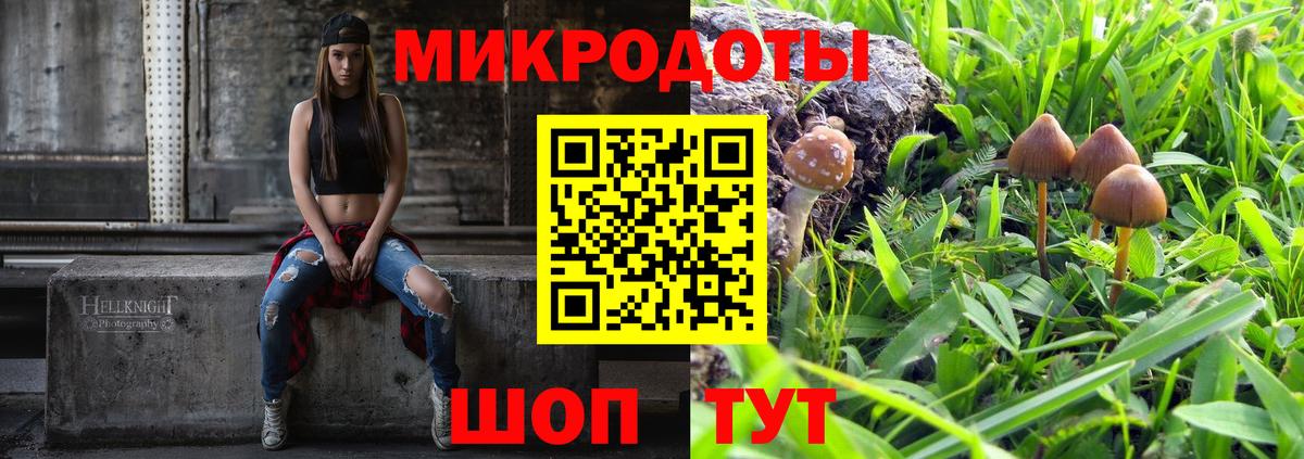 Артём  Псилоцибиновые грибы прущие грибы  Галлюциногенные грибы MAGIC MUSHROOMS  Вход с VPN 